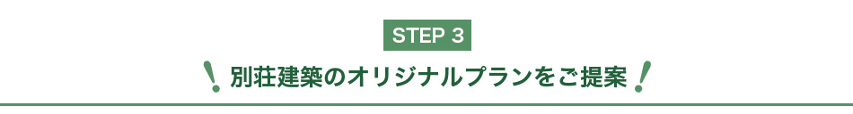 STEP3bʑz̃IWiv