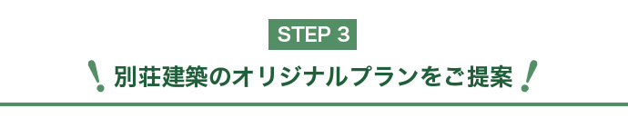 STEP3bʑz̃IWiv